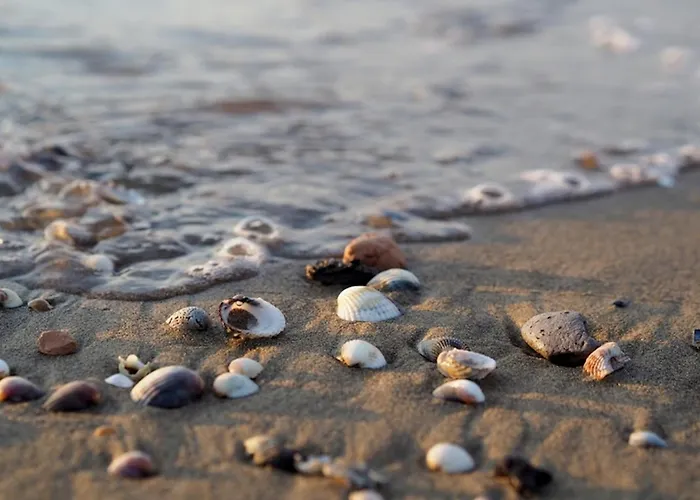 Our Dream Terrace Is Waiting For - Beahost Apartmán Bibione